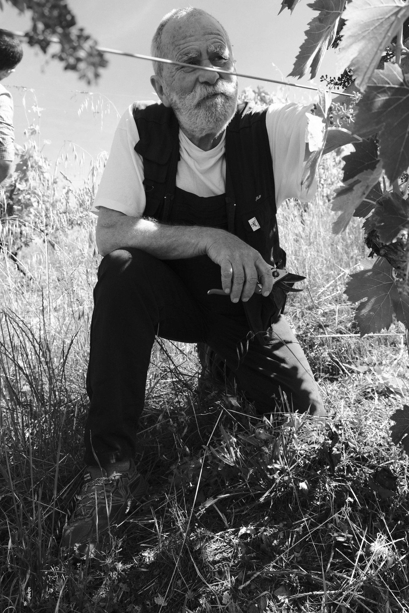 Riccardo Lanza in vigna