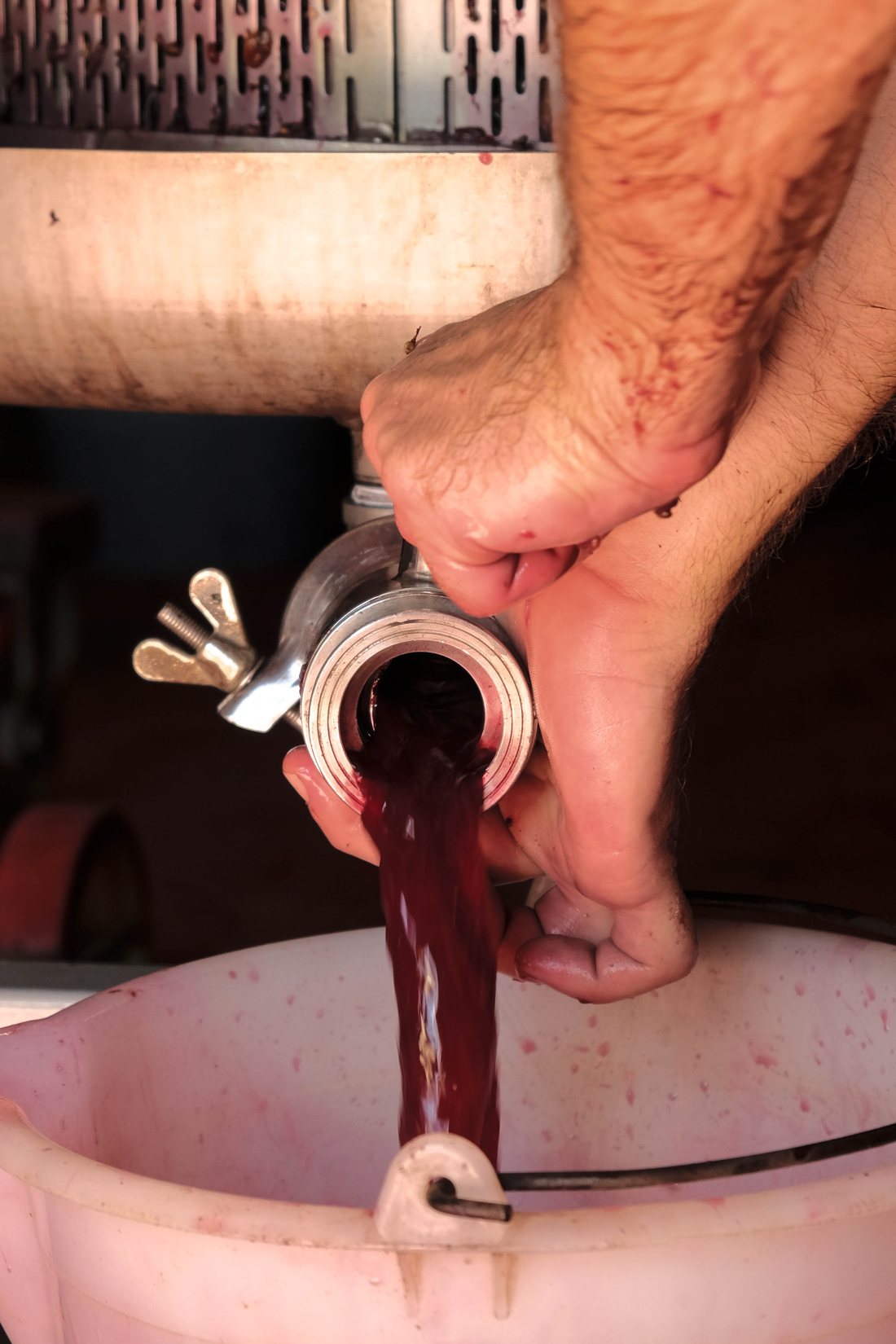 Il vino nuovo esce dalla vasca durante il travaso